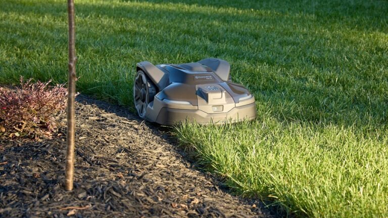 I tried out a robot lawn mower. It didn’t go as planned