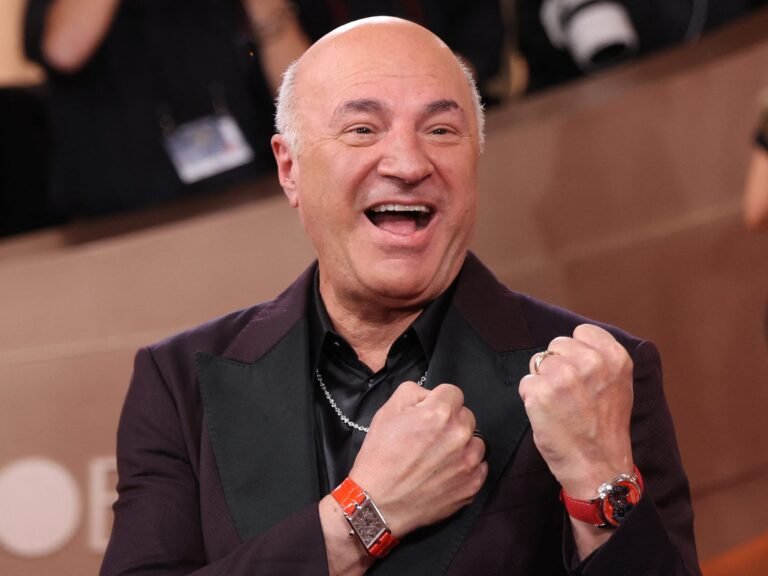 Kevin O'Leary calls the opposition to his mega data center 'bumps in the road'