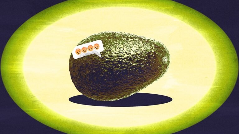 The startup that tried to fix food waste—and got hit by a disinformation campaign