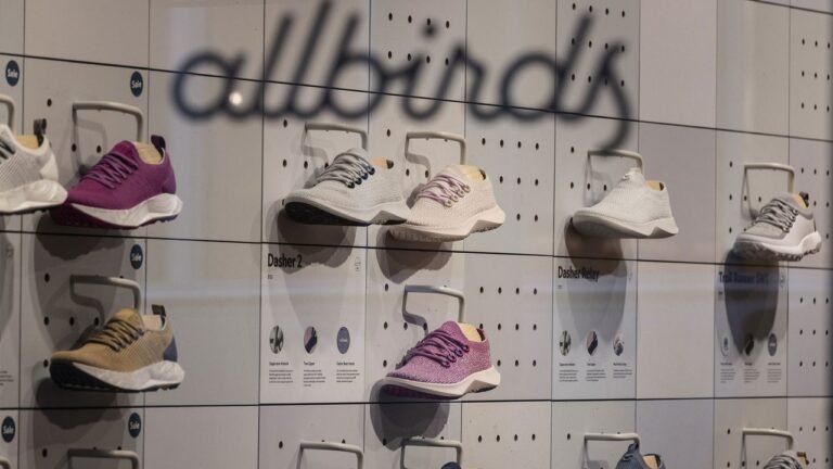 BIRD takes flight: Allbirds pivot to AI company Smartbird is a huge change—that’s good for the stock