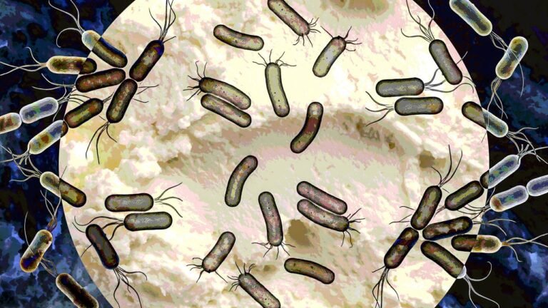 Deadly Listeria outbreak linked to soft cheese sparks recalls in multiple states: Avoid this list of products