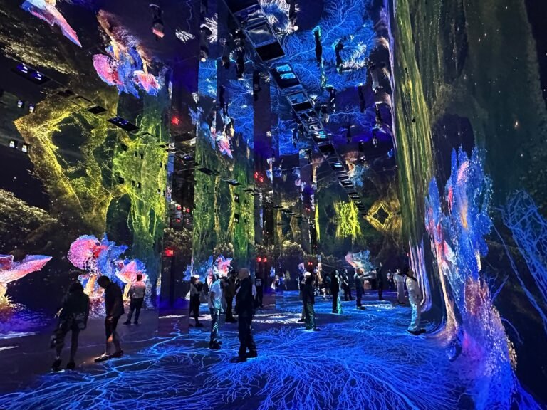 I visited the 'world's first' AI art museum. It was dazzling, strange, and more thought-provoking than I expected.