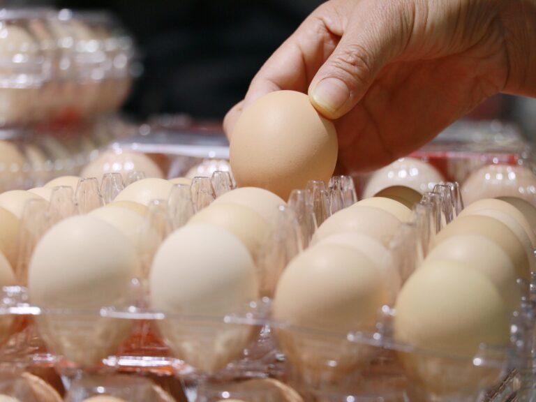 We were gaslit by Big Egg about egg prices (allegedly)