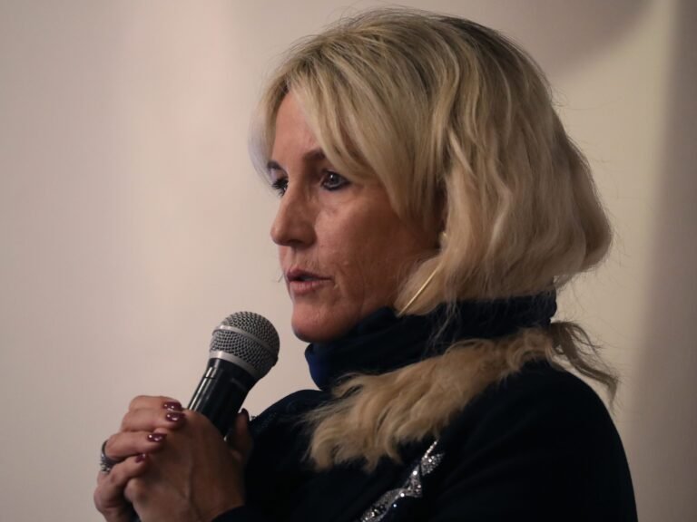 Erin Brockovich's crusade against data centers is going crowd-sourced