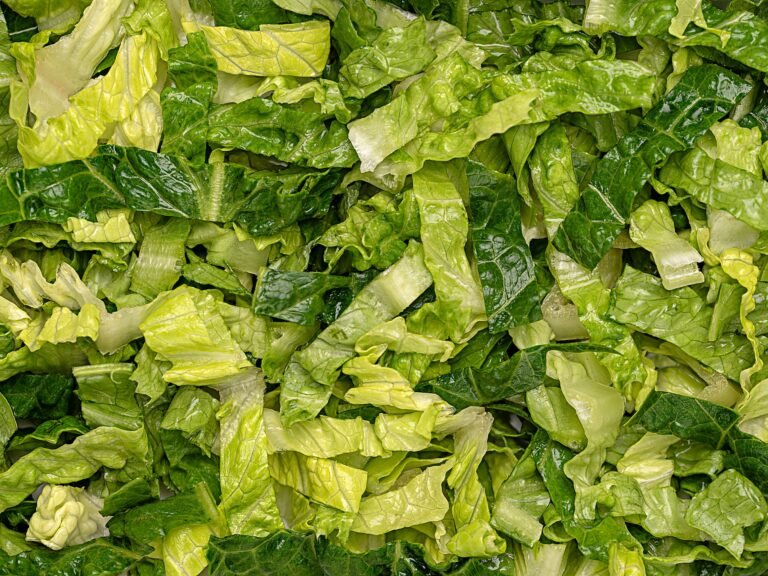 The parasite panic didn't stop thousands of nutrition experts from chowing down on salad