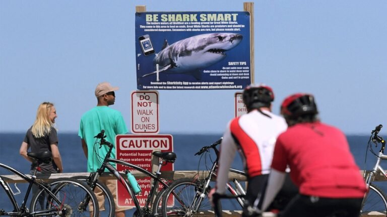 How a shark attack on an Alabama teen led to this new U.S.-wide alert system
