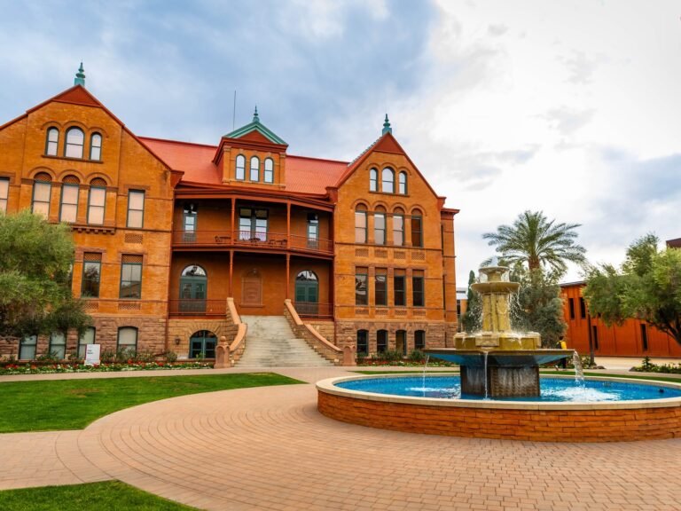 The largest college by enrollment in every state