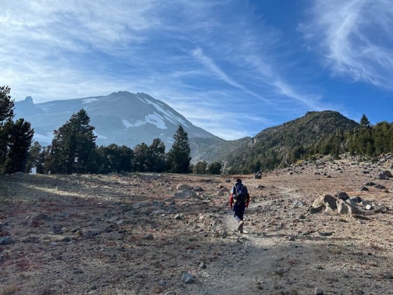 Hikers 'relied too much' on AI and had to be rescued. A ranger says it wasn't the first AI-related mishap he's seen.