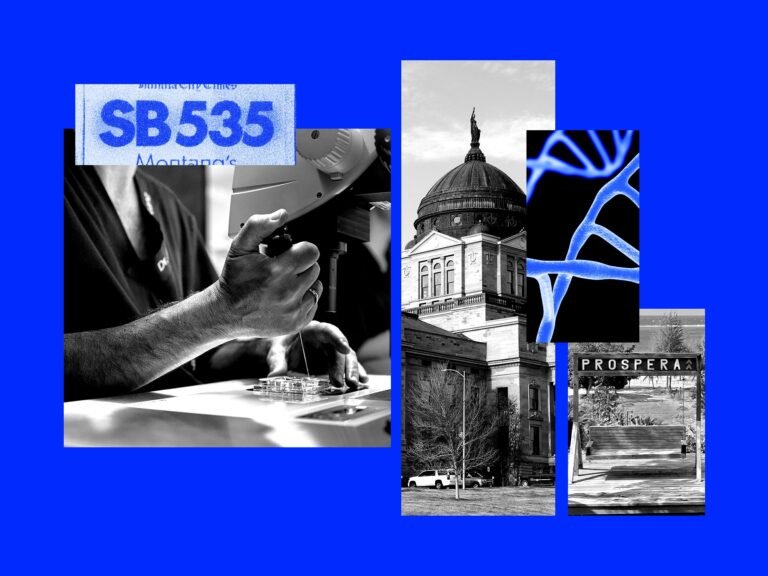 Montana’s experimental treatment law hands a VC the keys