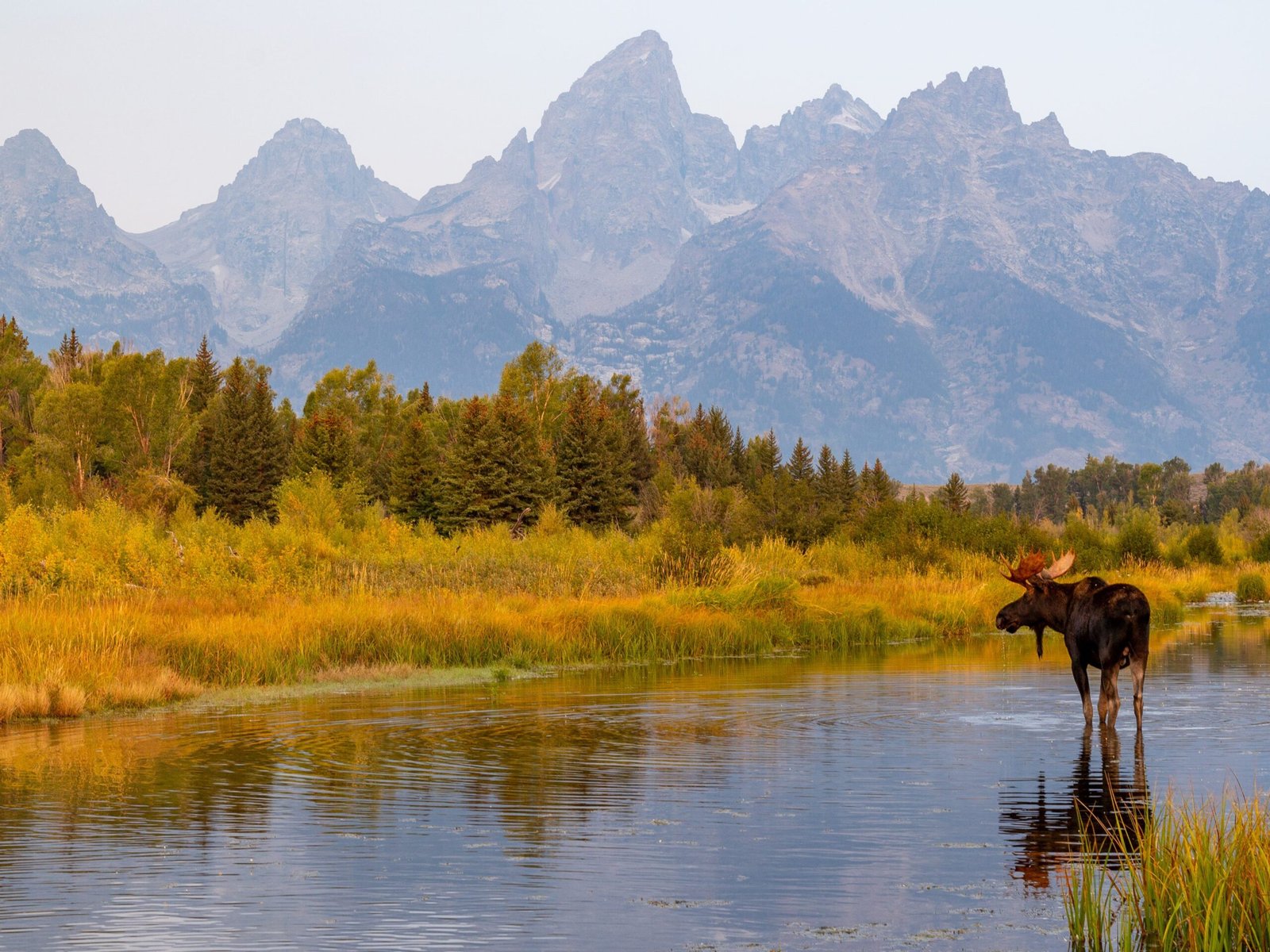 After visiting all 50 states, there are only 3 that I'd choose to live in