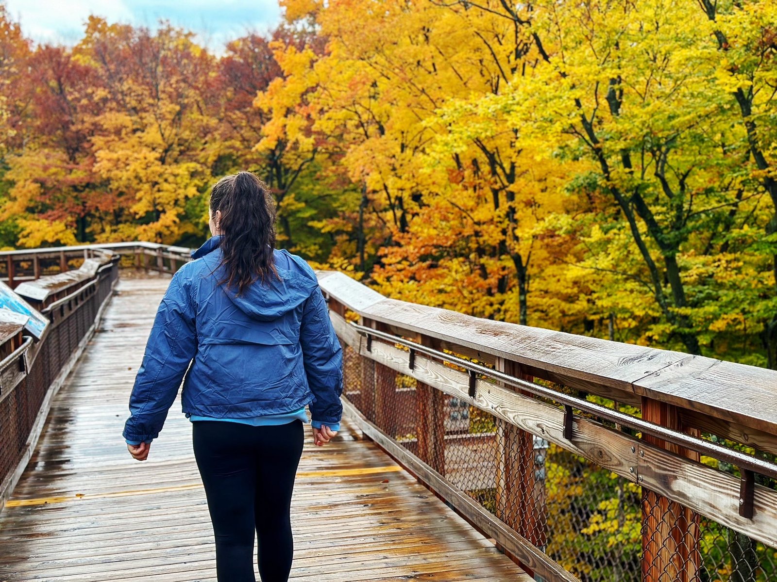 I never had any desire to visit the Midwest — until a fall trip to Door County changed my entire outlook on travel