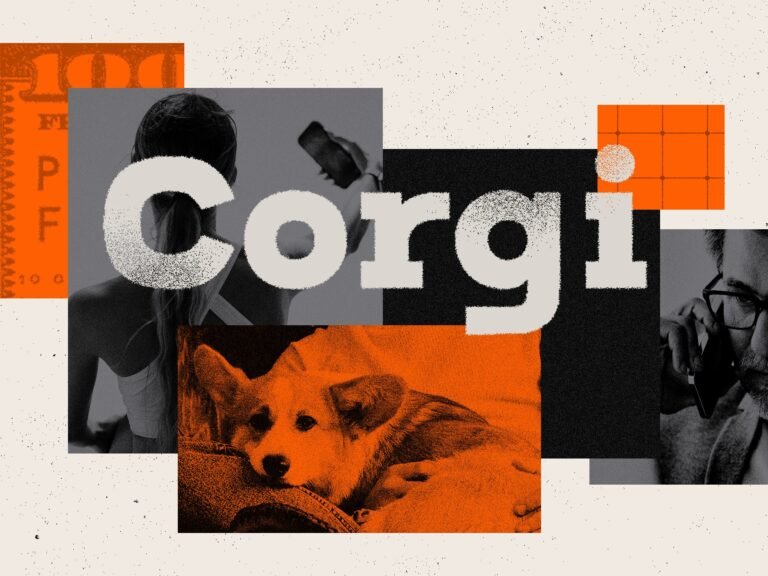 Corgi girls, ugly lawsuits, and cute dogs: Inside a wild $5 billion startup