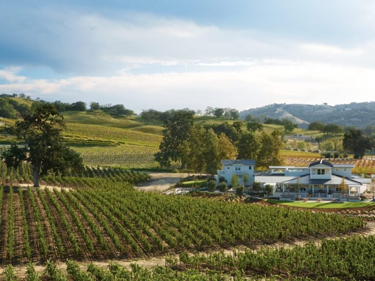 My favorite hidden gem in California has incredible food and wine — and it's more affordable than Napa Valley
