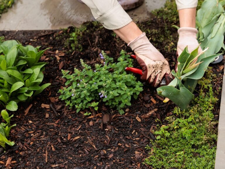 When AI and robots work together, Anthropic says these jobs are at risk. Should gardeners worry?
