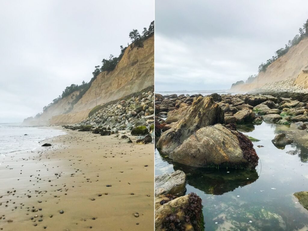 A National Geographic photographer shared 4 tips for taking better pictures with a phone