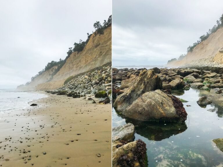 A National Geographic photographer shared 4 tips for taking better pictures with a phone