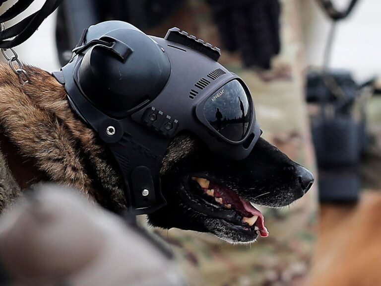 What is Warhound, Palmer Luckey's war dog startup that just emerged from stealth?
