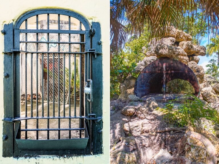 I explored the ruins of an abandoned zoo on the coast of Florida. It was overrun by nature, but eerie cages remained.