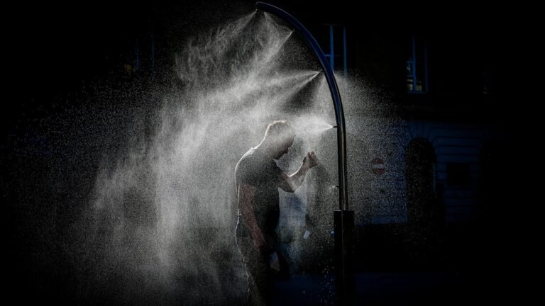 Europe’s brutally hot summer led to more than 50,000 heat deaths in urban areas alone